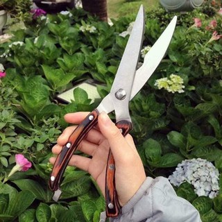 Kéo cắt gà nhật
