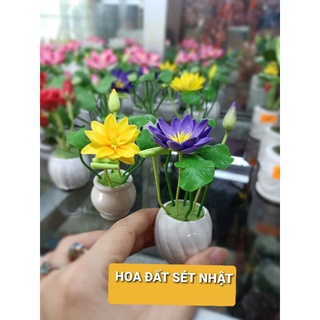 HOA ĐẤT SÉT NHẬT MINI 10-12CM,.(Giao màu ngẫu nhiên)