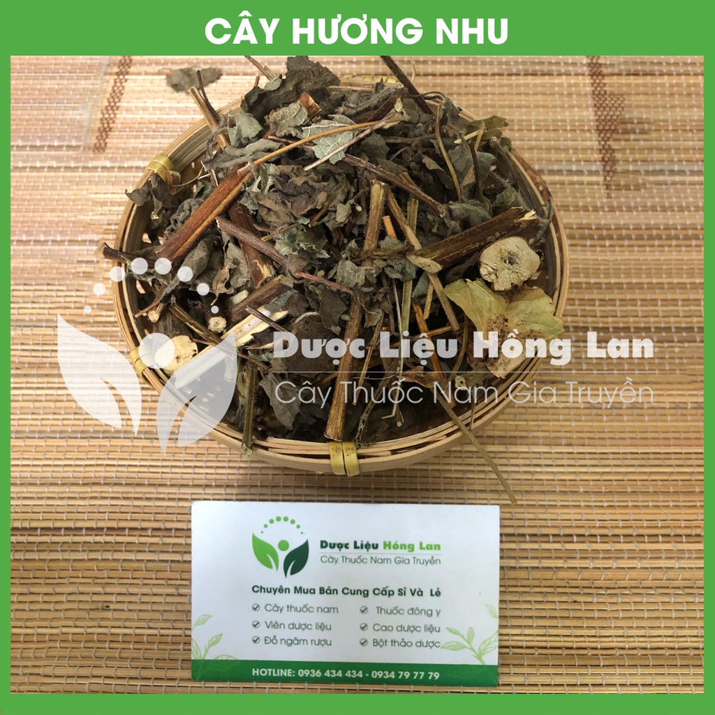 CÂY HƯƠNG NHU khô đóng gói 1kg - congtyduoclieuhonglan