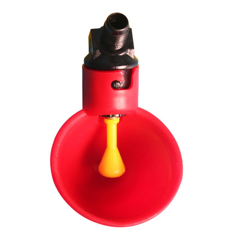 10 Máng Uống Nước Tự Động Cho Gà