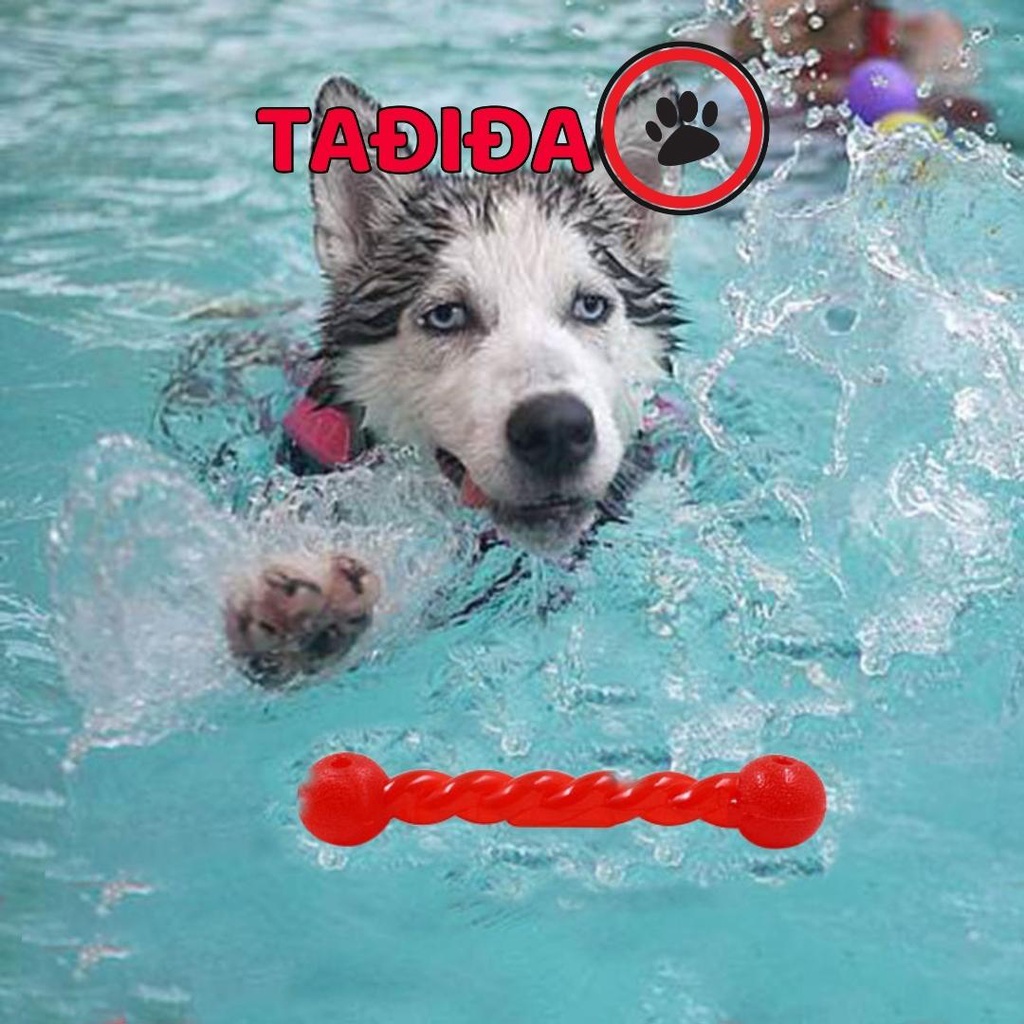 Đồ chơi Chó Gậy cuộn gặm sạch răng cao su siêu bền - Tadida Pet