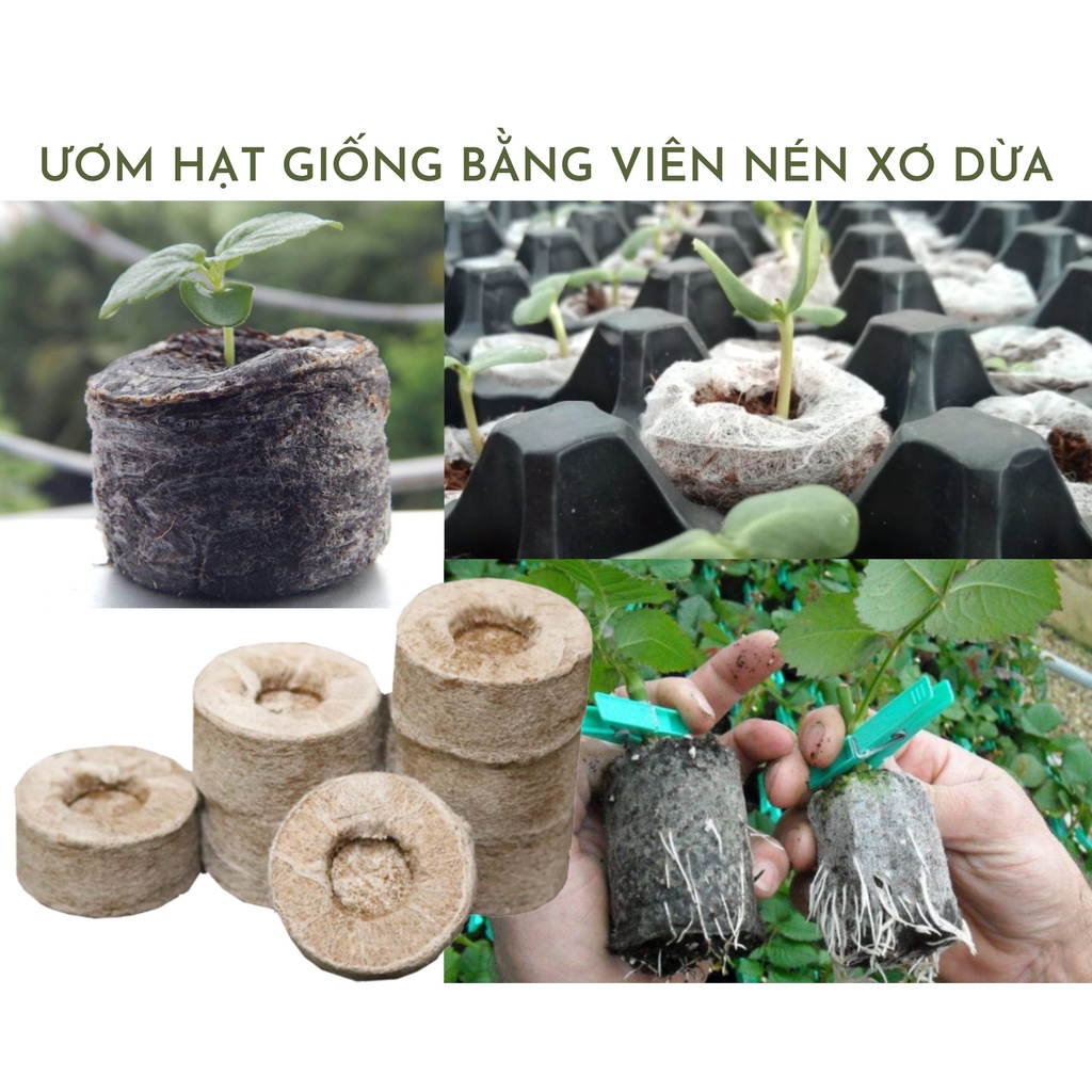 Viên nén sơ dừa ươm cây, viên nén cám mụn dừa ươm hạt và cây non 1 viên