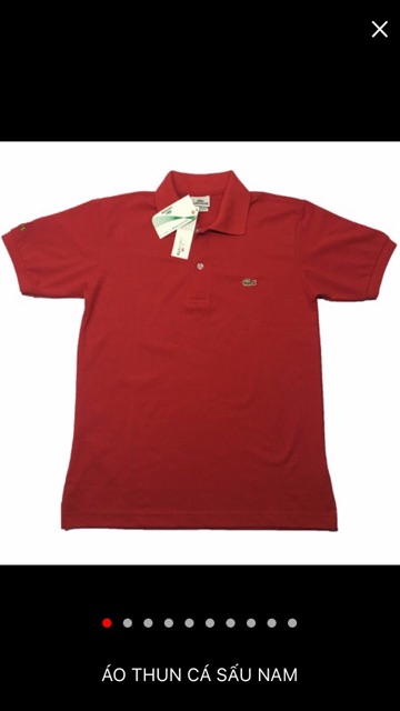 Áo thun cá sấu nam | BigBuy360 - bigbuy360.vn