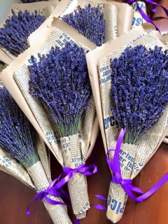 Hoa lavender - Hoa Pháp đủ bill