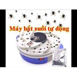 Máy bắt ruồi thông minh