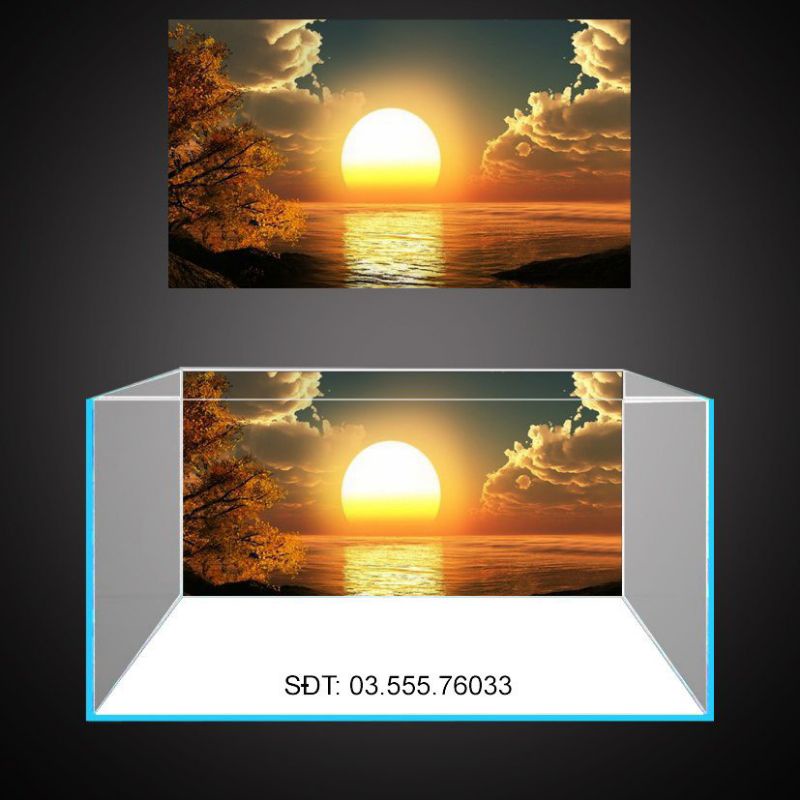 Tranh 3D dán bể cá cảnh - chất liệu decal cao cấp
