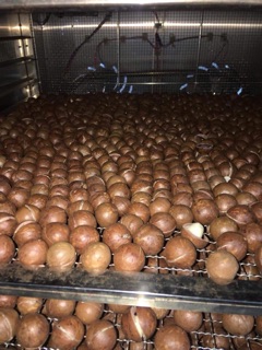 Mắc Ca Sạch Nứt Vỏ Lai Châu (1kg /300k)