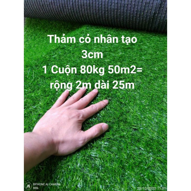 Thảm cỏ nhân tạo 3cm 24m2