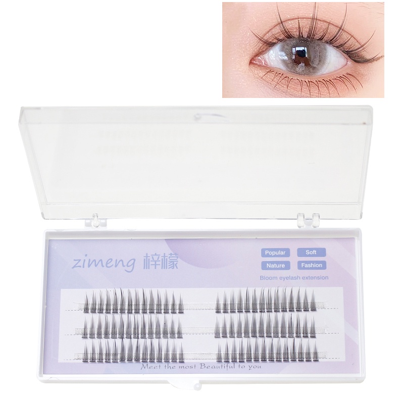 Lông Mi Giả Hình Chữ V Sành Điệu 3 / 5Rows