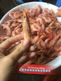 Tôm khô bóc nõn loại 1 hạ long
