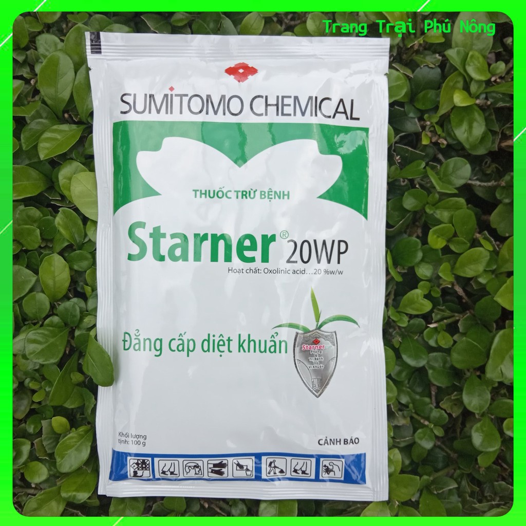 Thuốc đặc trị vi khuẩn Starner 20WP - Gói 100g