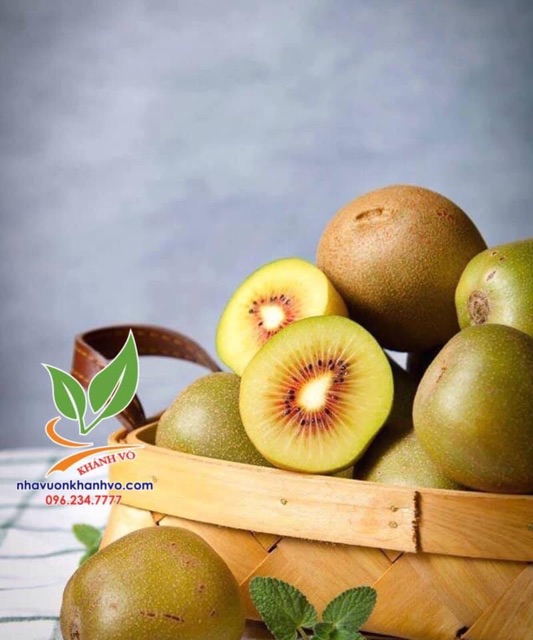 Kiwi ruột đỏ, ruột vàng, ruột xanh