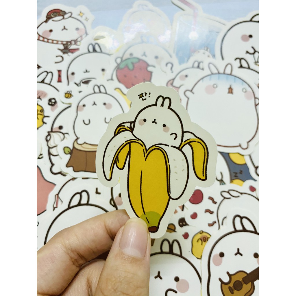 Sticker thỏ Molang dán trang trí laptop, máy tính bỏ túi, vali, điện thoại, đàn ghita, hộp bút