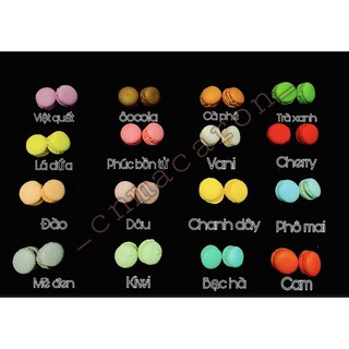 Combo bánh macaron mini