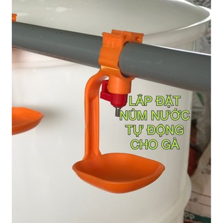 Combo 30 Núm Nước + Tách Hứng Nước Cho GÀ