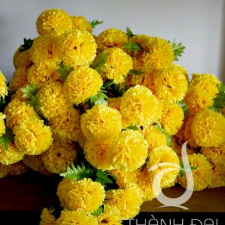 Combo 10 bông cúc vạn thọ- Hoa vải lụa