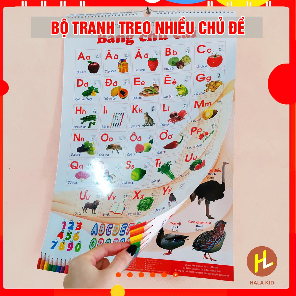 Bộ Tranh treo tường song ngữ 12 chủ đề cho bé (6 tờ 2 mặt) - loại lớn