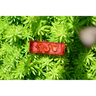 Nút bàn phím Shift/Enter rồng full đỏ resin