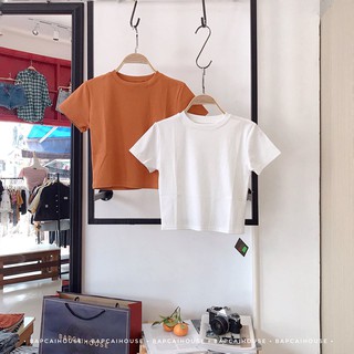 ORDER áo thun trơn basic