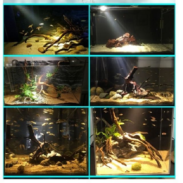 Đèn rọi thủy sinh , hồ cá cảnh 3w 5w 7w Ánh sáng vàng và trắng 2 chế độ - Đèn rọi biotop