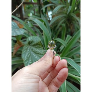Nhẫn hổ phách đổi màu thời trang
