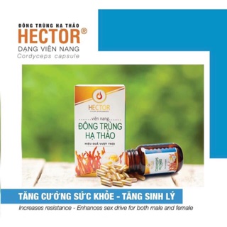Đông trùng hạ thảo Hector - Viên nang nguyên chất 100%