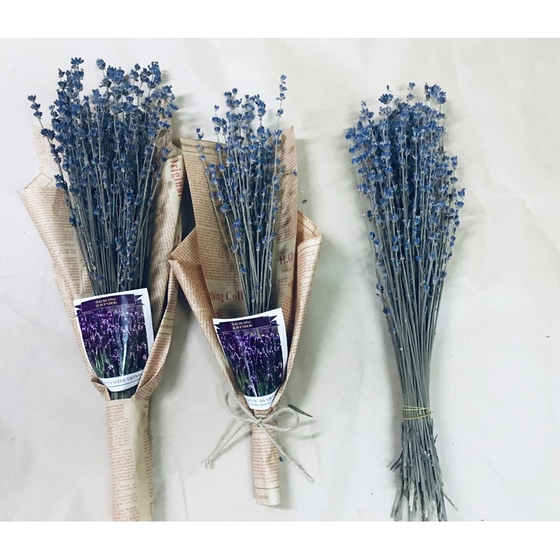 Hoa oải hương khô, Hoa lavender Pháp, Hoa khô tặng quà