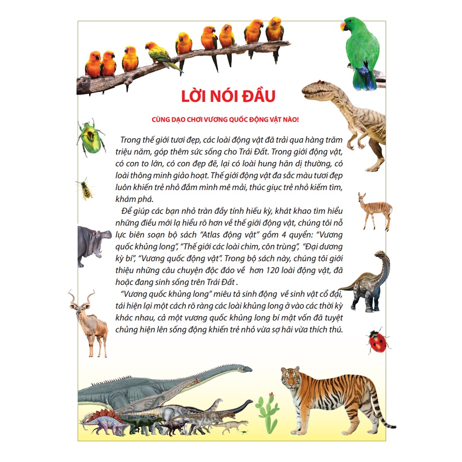 Sách - Atlas động vật - Thế giới các loài chim, côn trùng