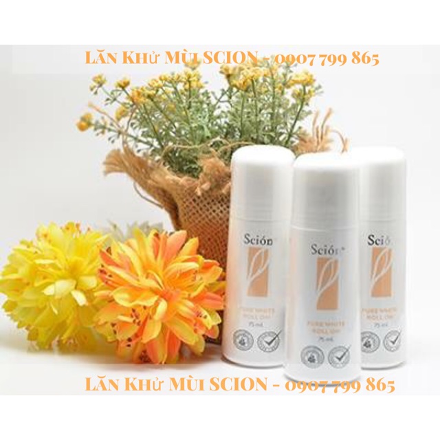 5 Lăn Scion Nuskin - Chuyên sỉ giá tốt