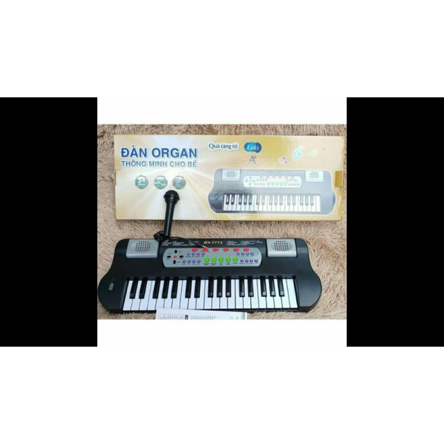 Đàn organ
