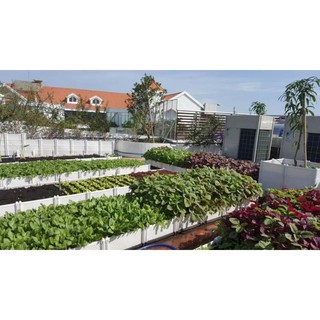 Ống tưới nhỏ giọt (1m)