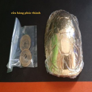 quẻ bói mai rùa vàng