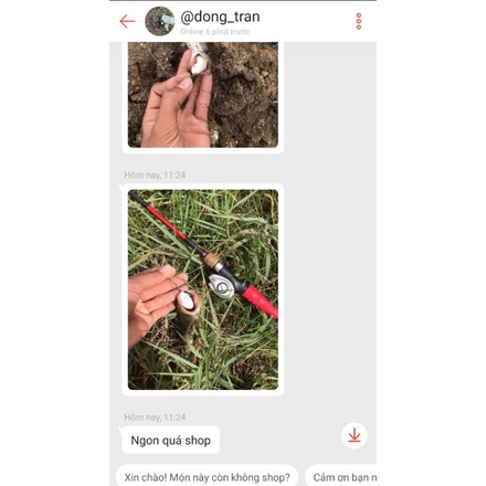 Nhai hơi Ngọc trinh T1 mini 4cm, mồi câu cá lóc