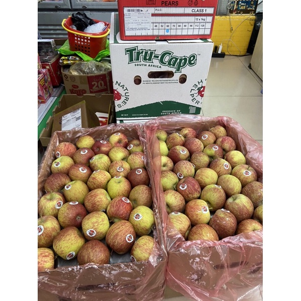 Táo túi Nam Phi Bịch 3kg