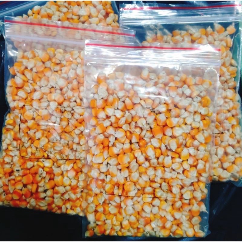 1kg Hạt Ngô  nguyên hạt sấy khô dùng làm thức ăn cho vật nuôi gà vịt, chim cảnh cu gáy bồ câu và các dòng hamster