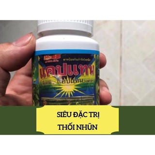 Thuốc chống thối nhũn cho lan