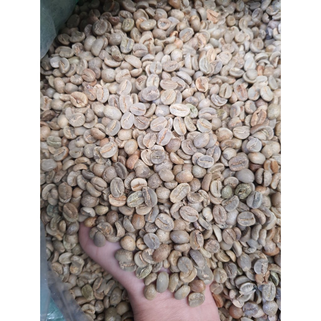 Cà Phê Nhân Xanh Arabica Sàng 16-18 chất lượng tuyệt vời từ Hemera (2kg) Tặng 2 gói cafe hòa tan 3in1