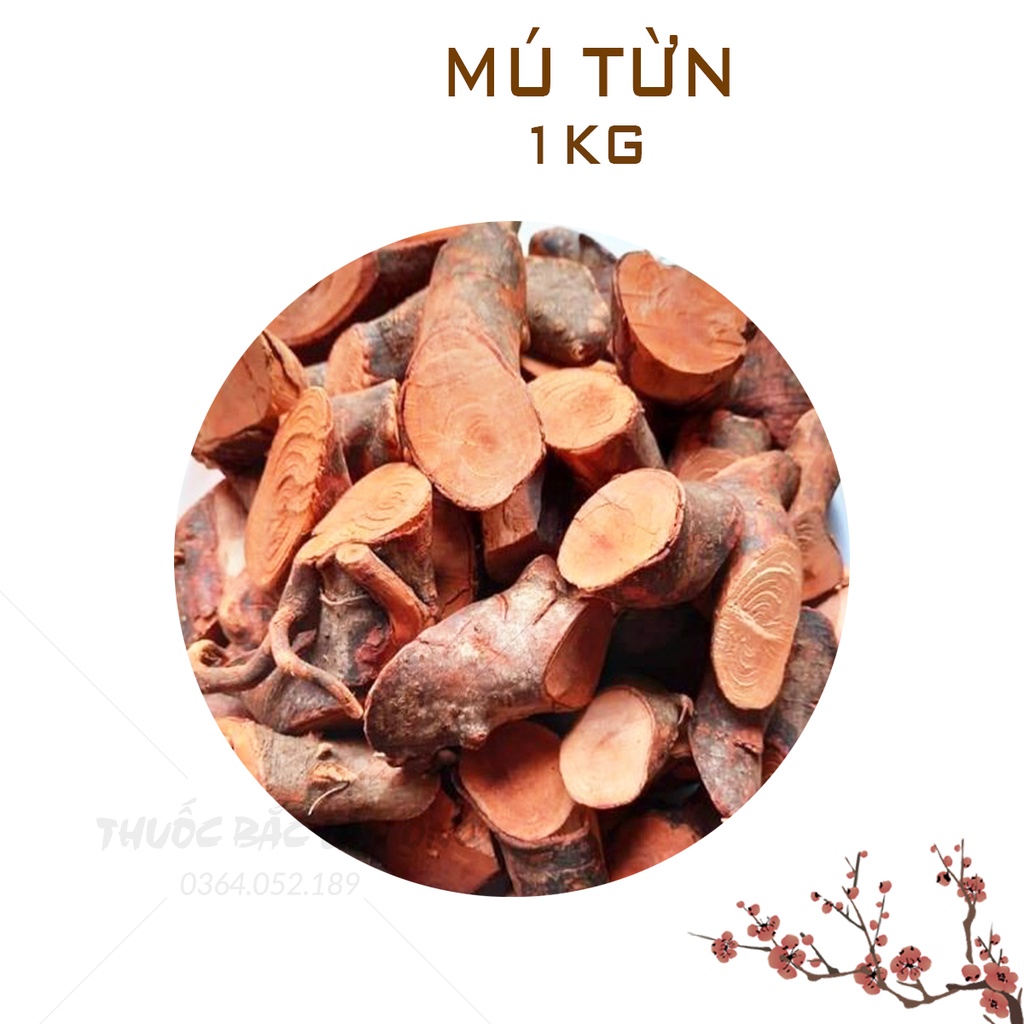 Mú từn 1kg (Hàng loại 1, khô, sạch)