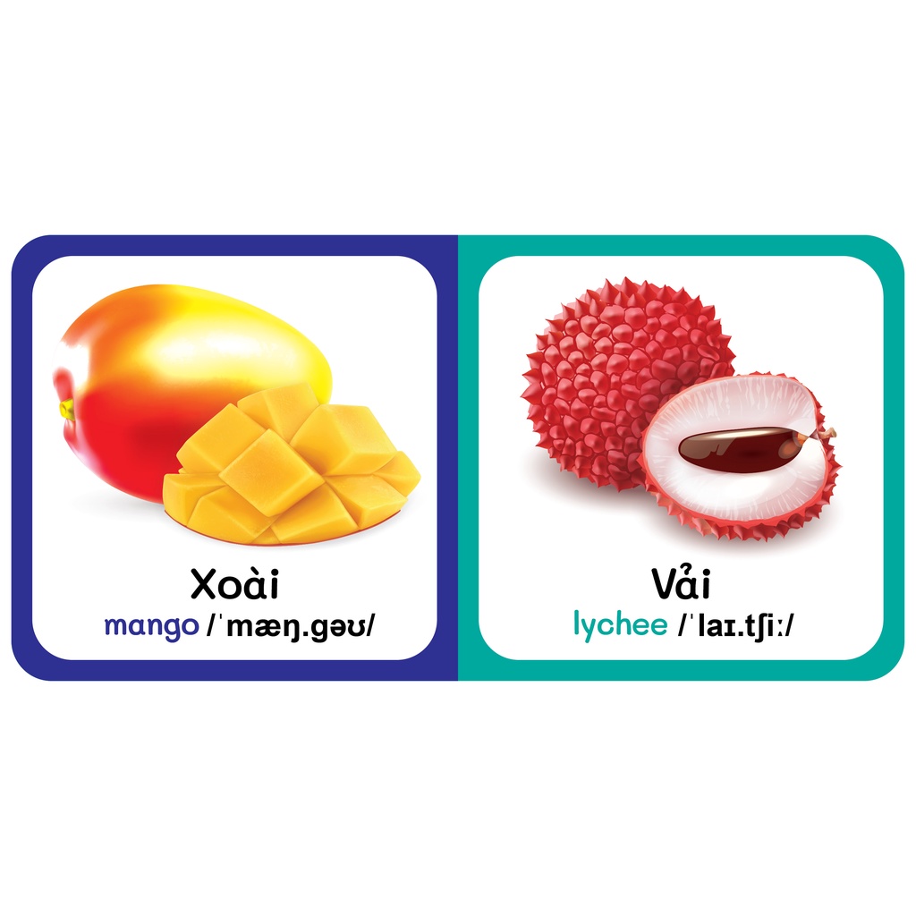 Sách - Baby'S First Picture Dictionary - Từ Điển Bằng Hình Đầu Tiên Của Bé - Trái Cây - Fruits (Bìa Cứng)