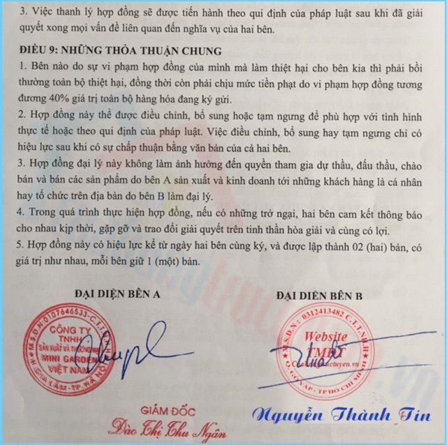 SON ROSES siêu lỳ DATE mới nhất, Bao giá TOÀN QUỐC | Thế Giới Skin Care