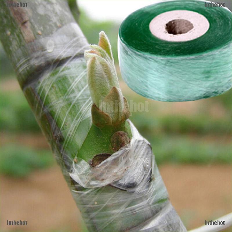 Cuộn Băng Keo Dán Cây Trồng 2cmx100m