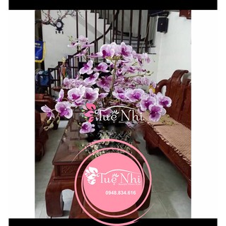 CÀNH LAN HỒ ĐIỆP 3D CAO CẤP - Hoa Gỉa,Hoa Lụa.