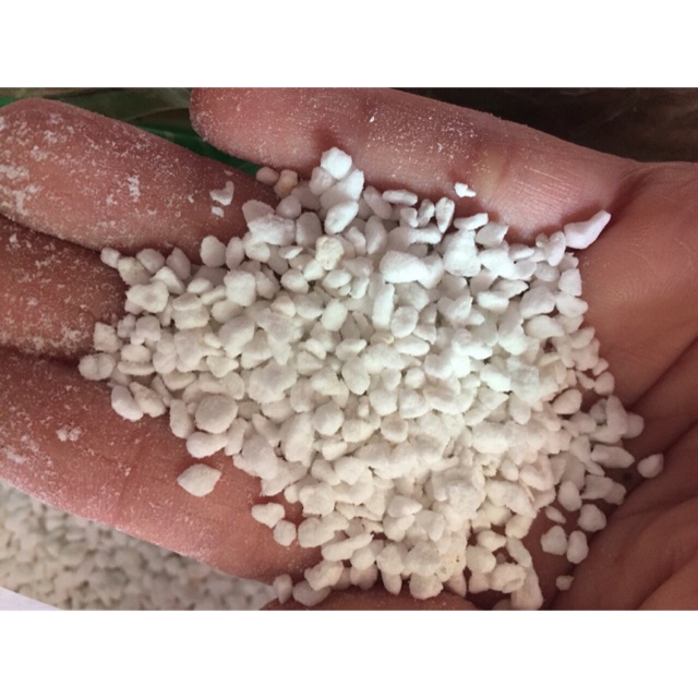 Đá trồng sen đá xương rồng perlite( trân châu) 100g