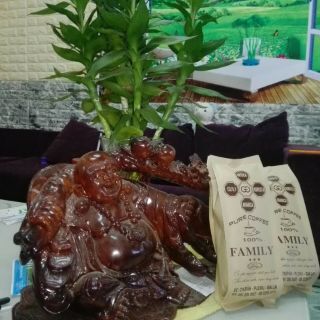1kg cà phê nguyên chất 100%