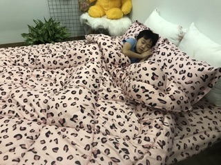Bộ chăn ga gối poly cotton da báo