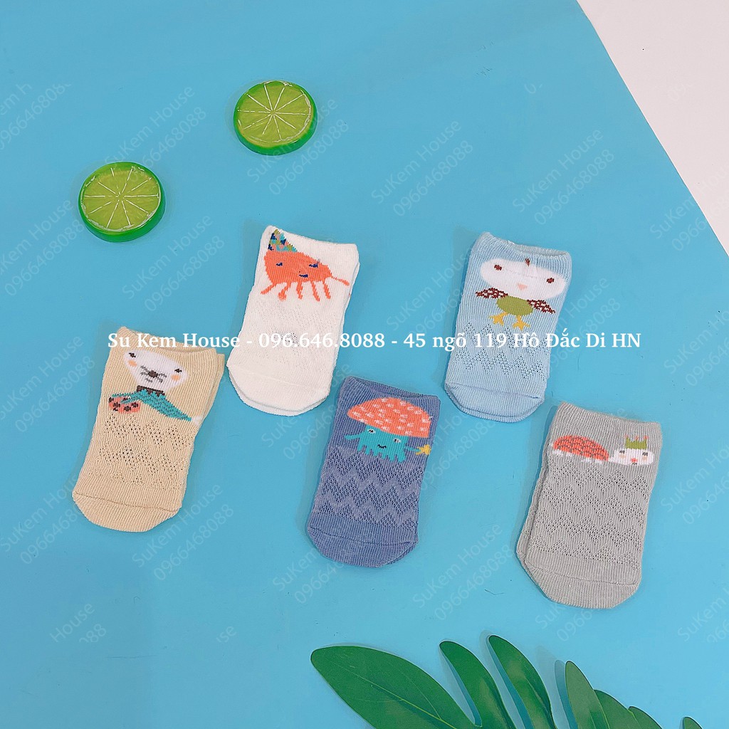 Set 5 đôi tất lưới Tiny cho bé