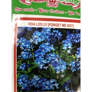 Hạt giống Hoa lưu ly xanh.