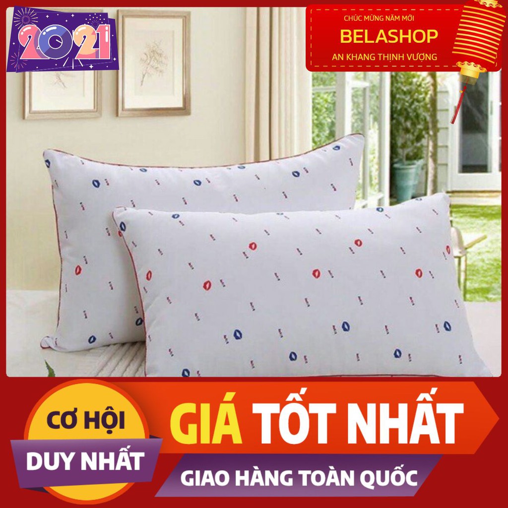 Combo 2 ruột gối hilton tiêu chuẩn khách sạn