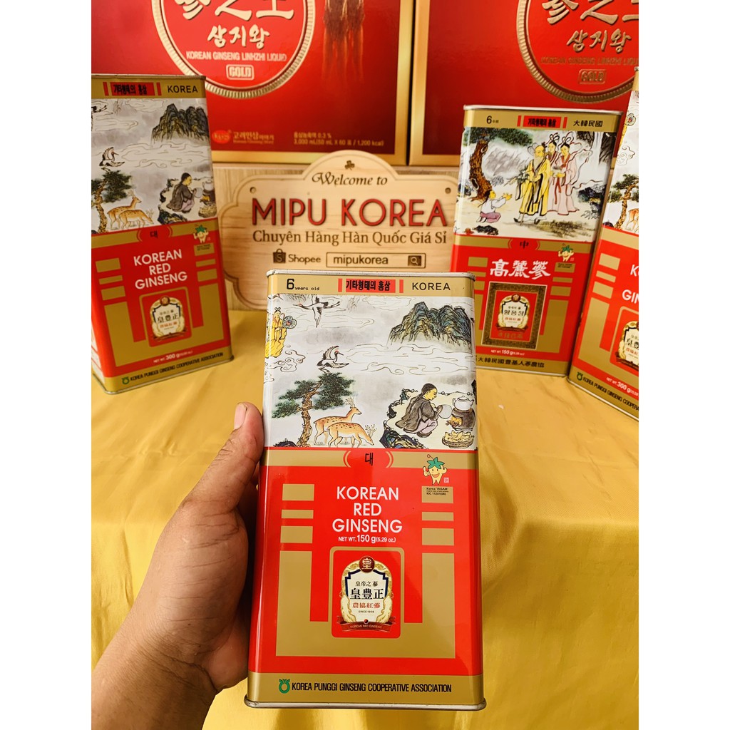 Hồng Sâm Củ Khô Hộp Thiết KGS Punggi Hàn Quốc 150g (11-15 củ)