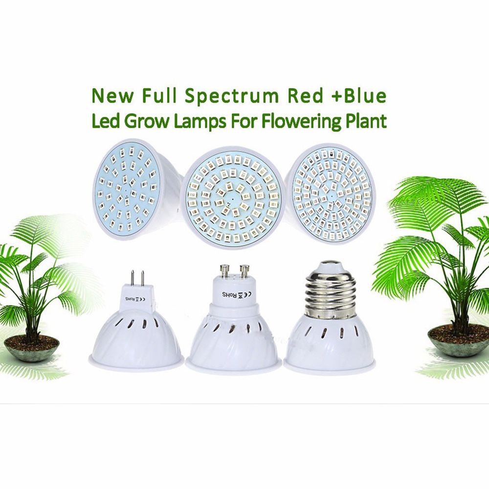 Đèn led trồng cây thủy sinh E27/ GU10/ MR16 72 bóng
